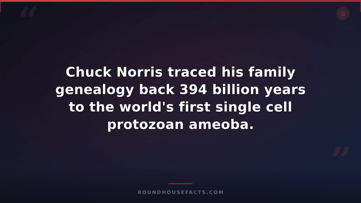 Chuck Norris Fact — Chuck Norris traced his family genealogy back 394 billion ye