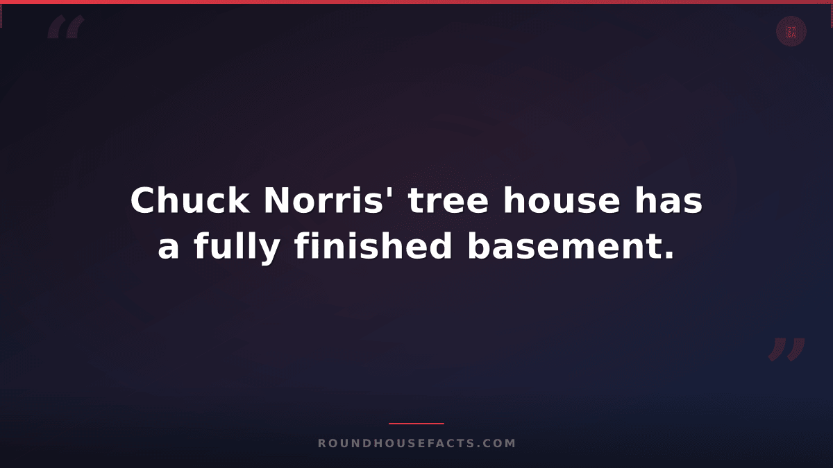 Chuck Norris Fact — Chuck Norris' tree house has a fully finished basement.