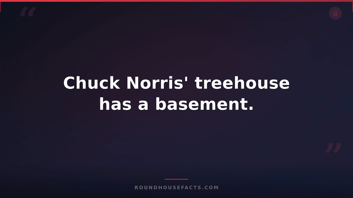 Chuck Norris Fact — Chuck Norris' treehouse has a basement.