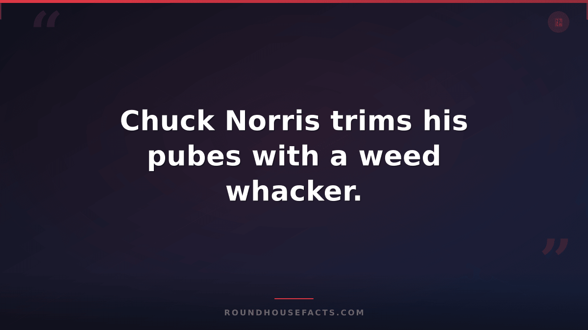Chuck Norris Fact — Chuck Norris trims his pubes with a weed whacker.