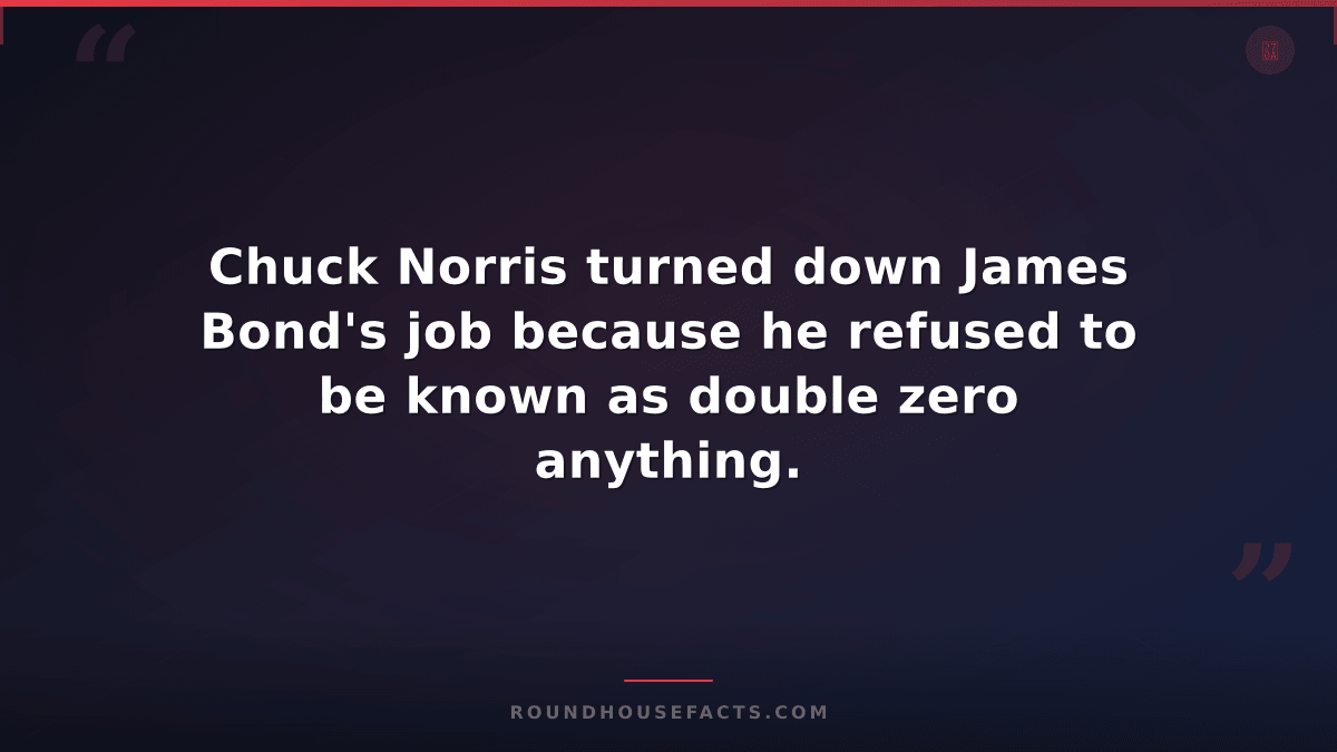 Chuck Norris Fact — Chuck Norris turned down James Bond's job because he refused