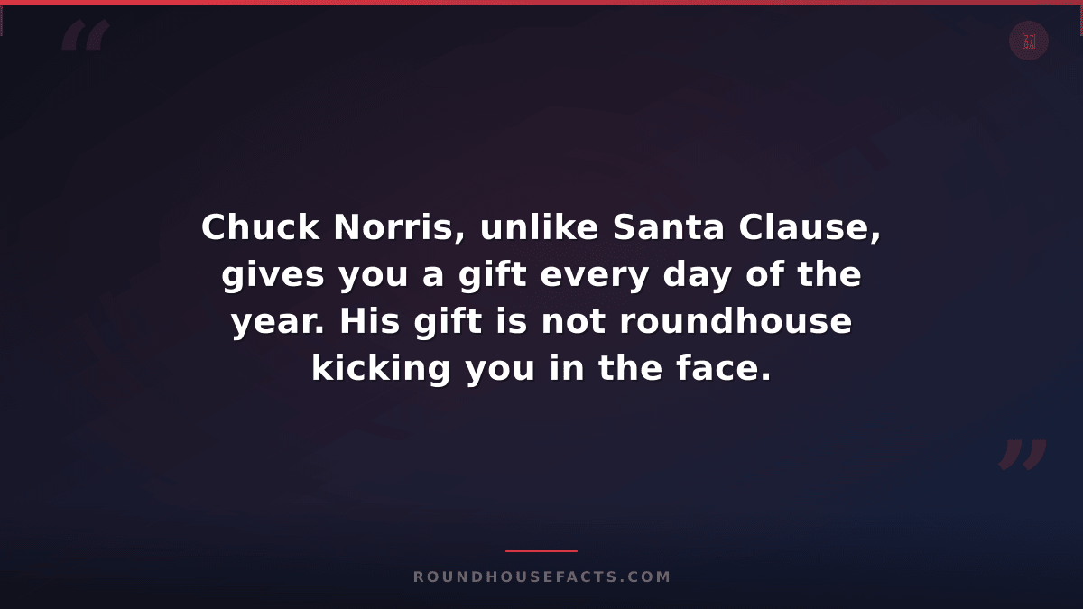 Chuck Norris Fact — Chuck Norris, unlike Santa Clause, gives you a gift every da