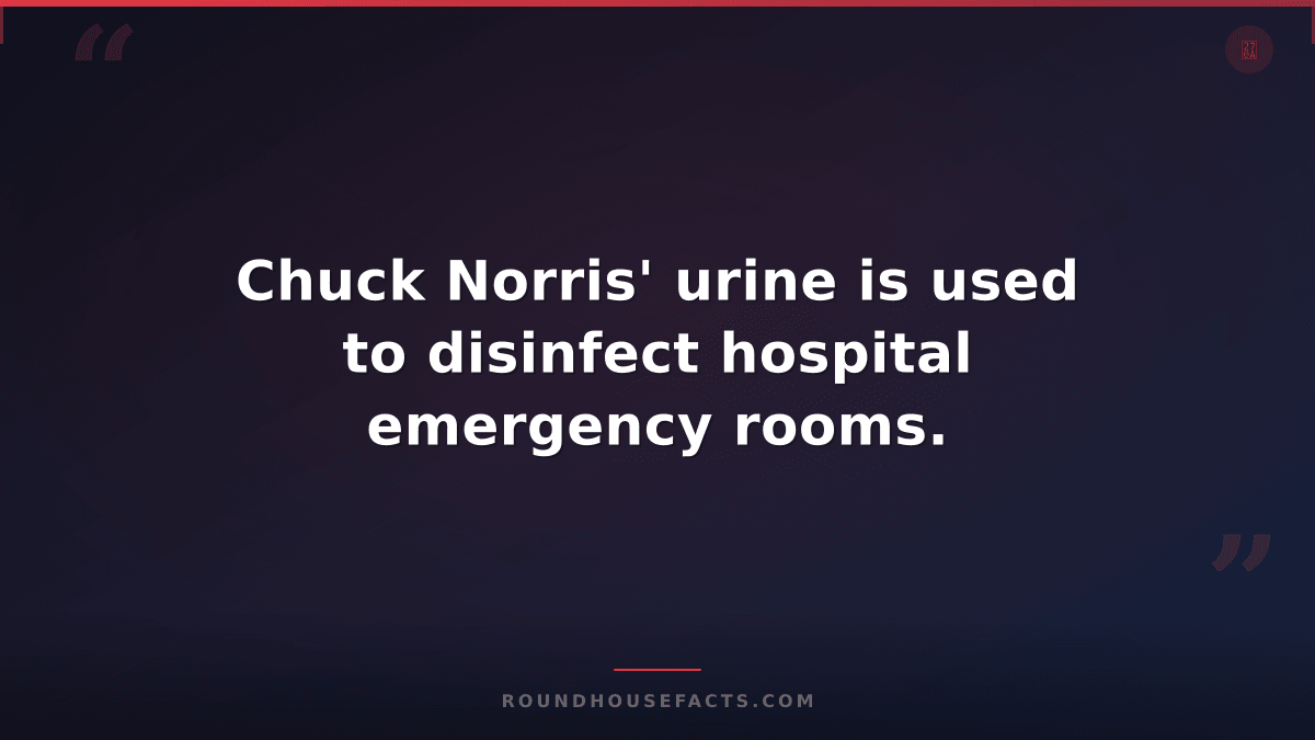Chuck Norris Fact — Chuck Norris' urine is used to disinfect hospital emergency