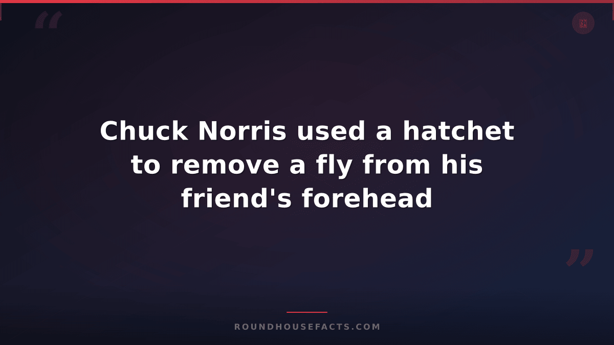 Chuck Norris Fact — Chuck Norris used a hatchet to remove a fly from his friend'