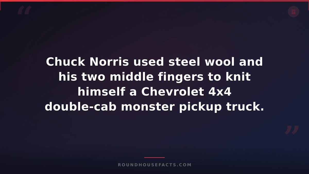 Chuck Norris Fact — Chuck Norris used steel wool and his two middle fingers to k