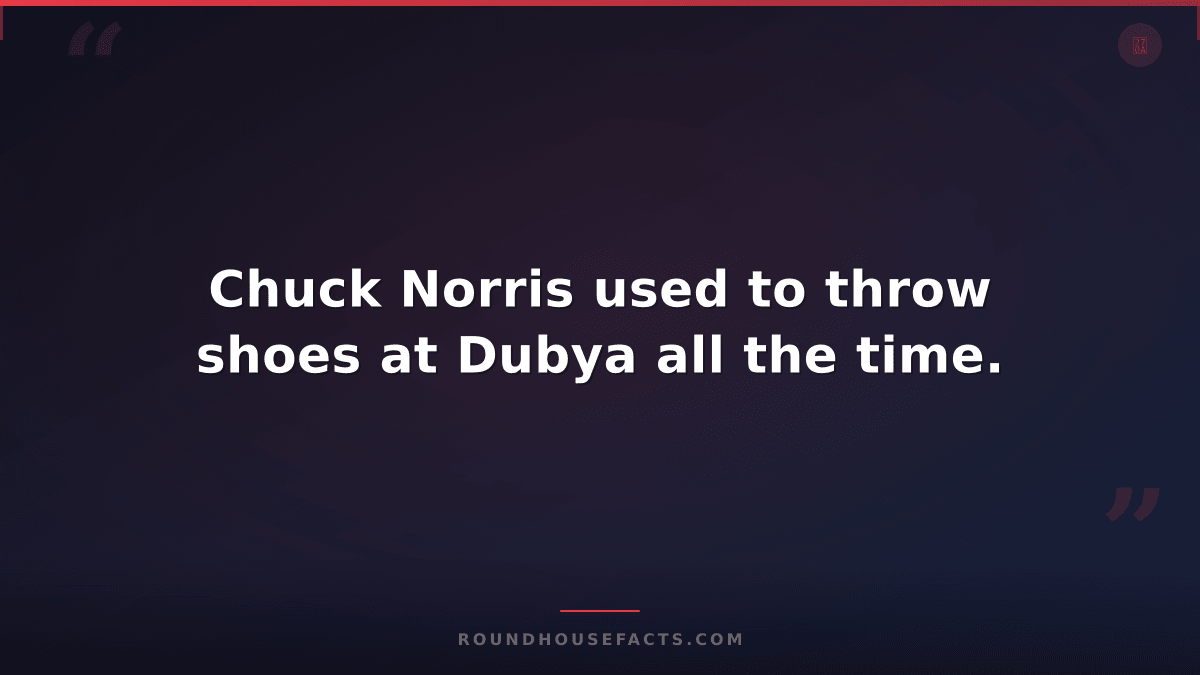 Chuck Norris Fact — Chuck Norris used to throw shoes at Dubya all the time.