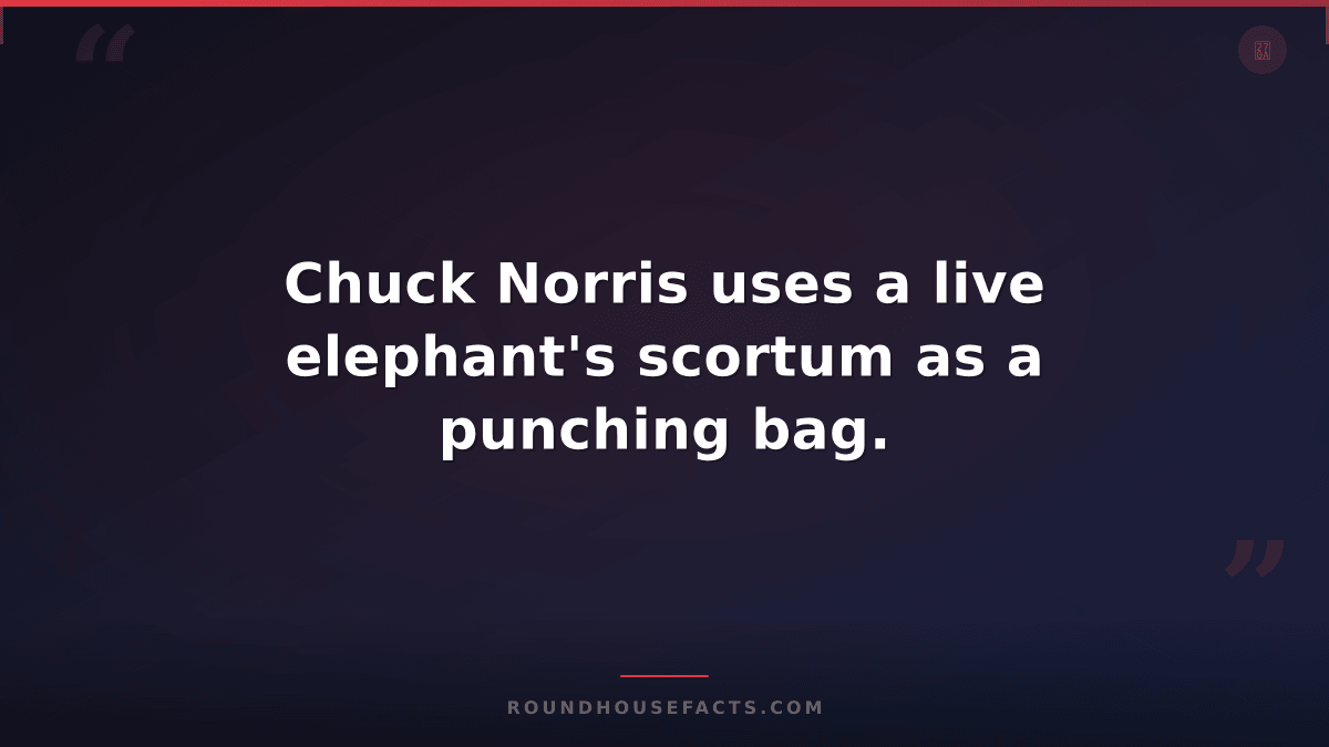 Chuck Norris Fact — Chuck Norris uses a live elephant's scortum as a punching ba