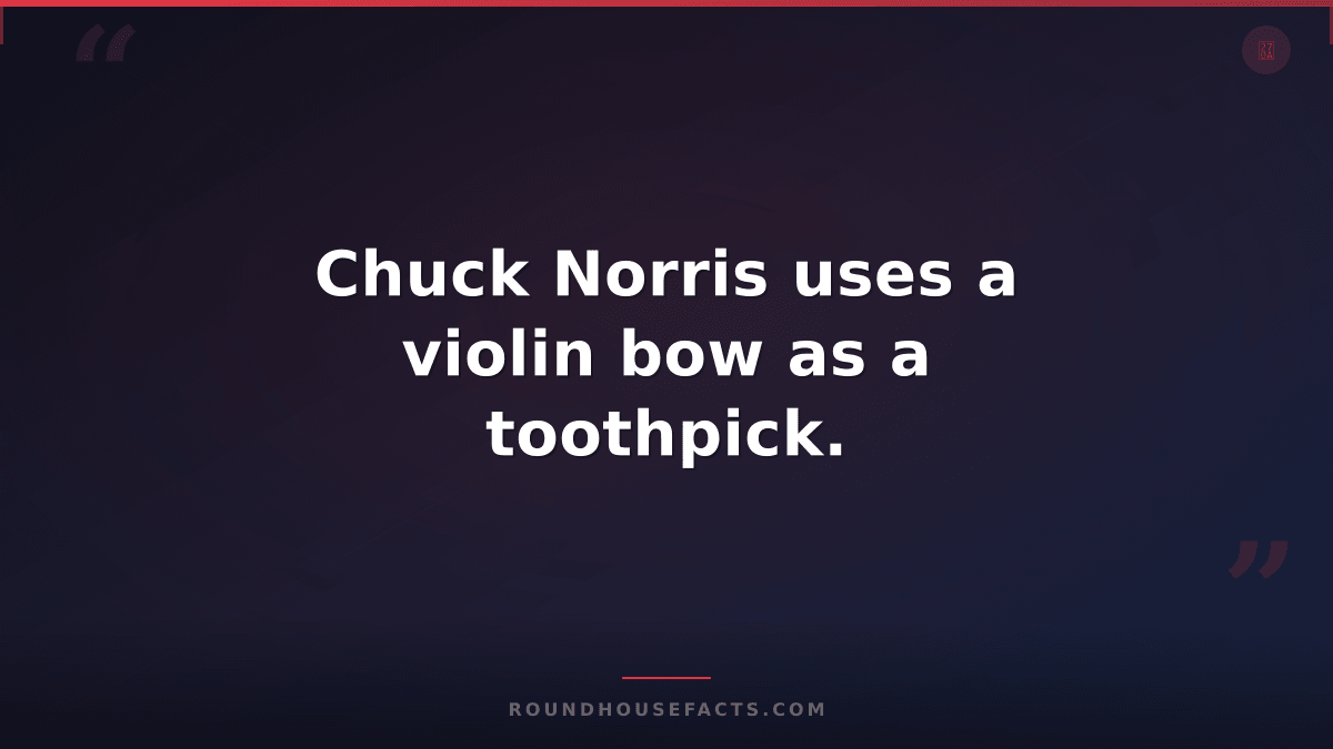 Chuck Norris Fact — Chuck Norris uses a violin bow as a toothpick.