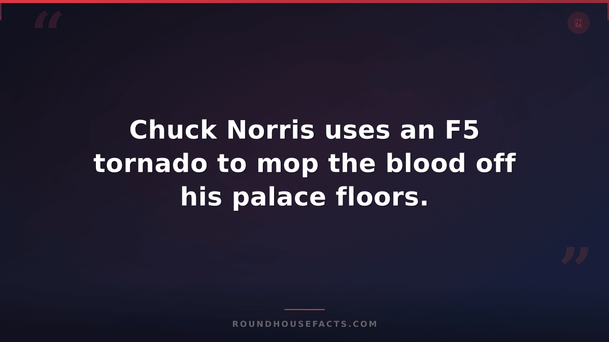 Chuck Norris Fact — Chuck Norris uses an F5 tornado to mop the blood off his pal
