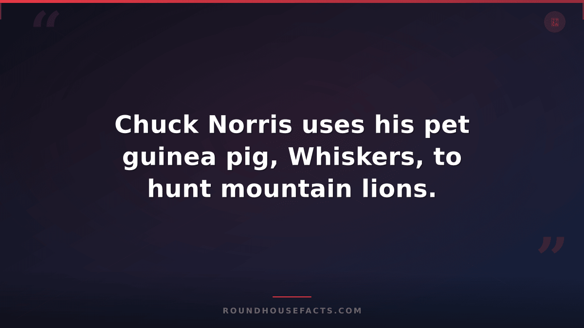 Chuck Norris Fact — Chuck Norris uses his pet guinea pig, Whiskers, to hunt moun