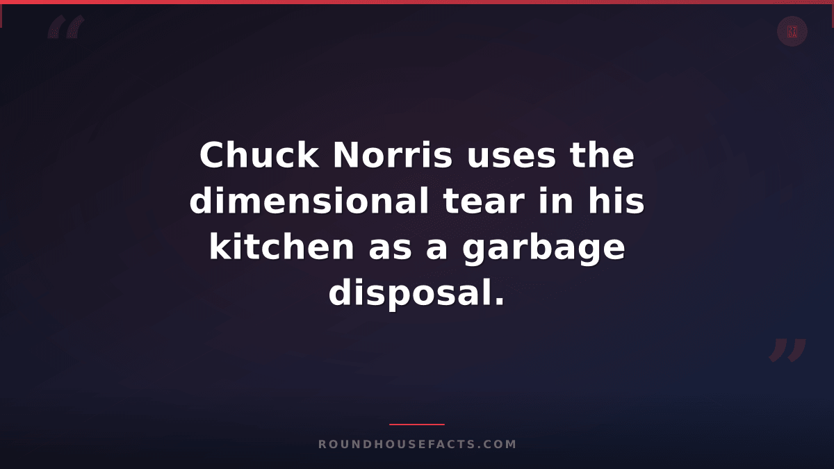 Chuck Norris Fact — Chuck Norris uses the dimensional tear in his kitchen as a g