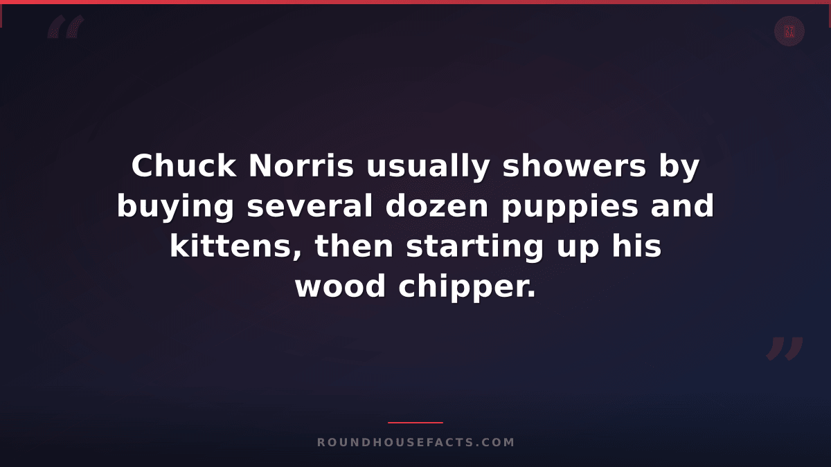 Chuck Norris Fact — Chuck Norris usually showers by buying several dozen puppies