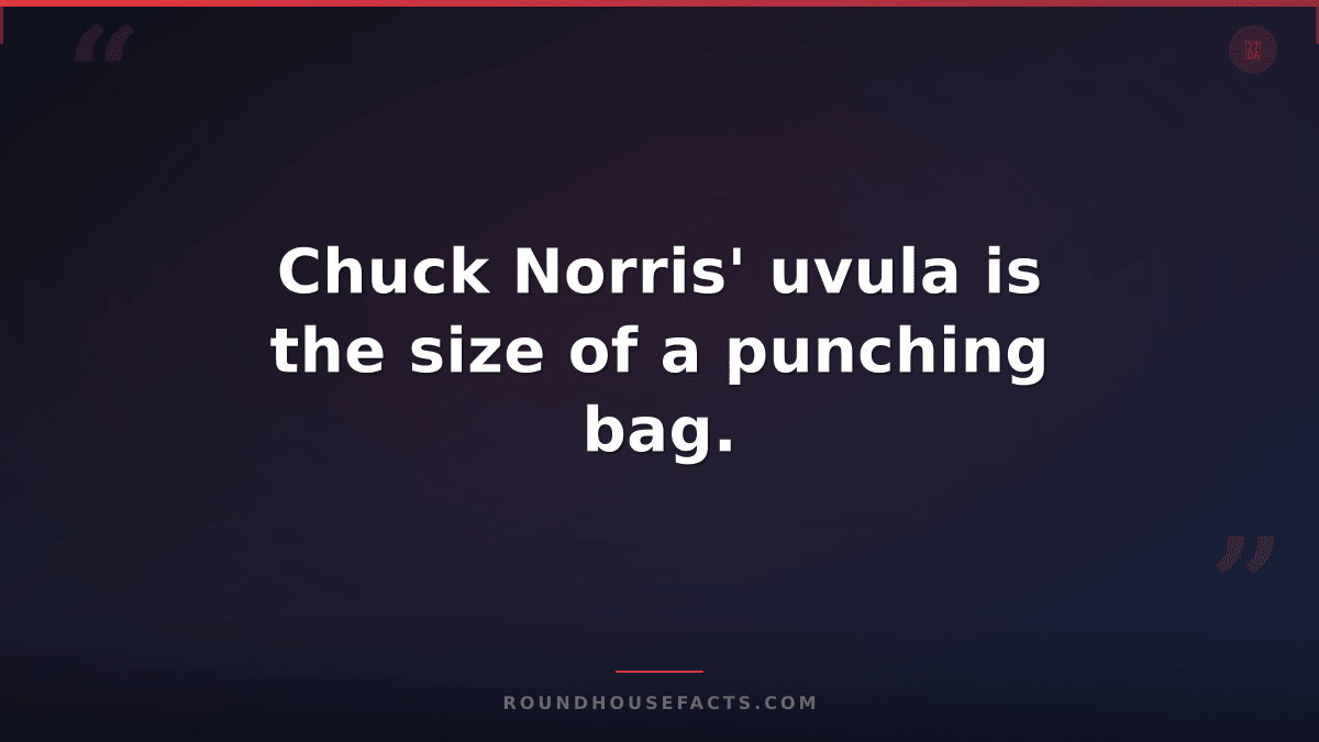 Chuck Norris Fact — Chuck Norris' uvula is the size of a punching bag.