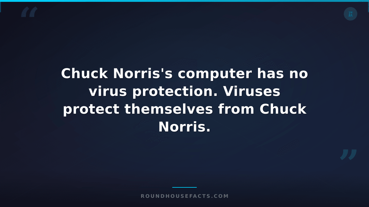 Chuck Norris Fact — Chuck Norris's computer has no virus protection. Viruses pro