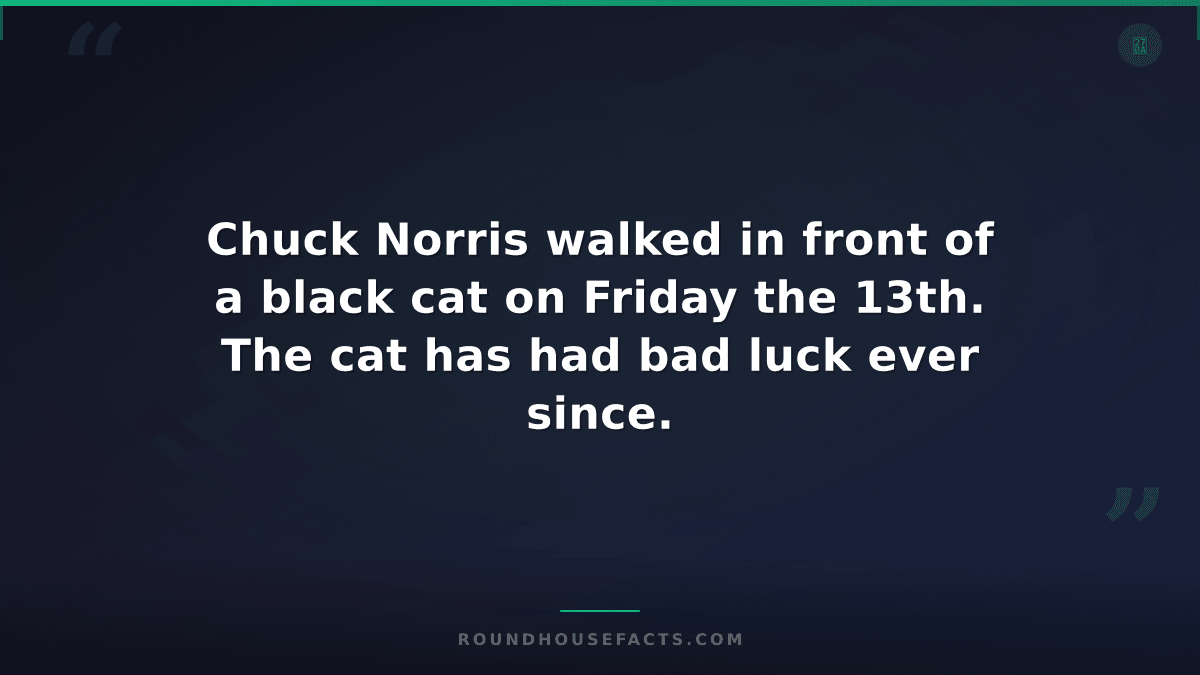 Chuck Norris Fact — Chuck Norris walked in front of a black cat on Friday the 13