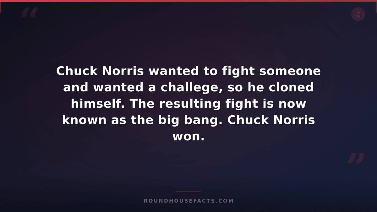 Chuck Norris Fact — Chuck Norris wanted to fight someone and wanted a challege,