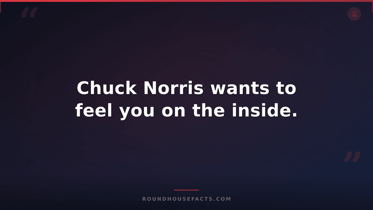 Chuck Norris Fact — Chuck Norris wants to feel you on the inside.