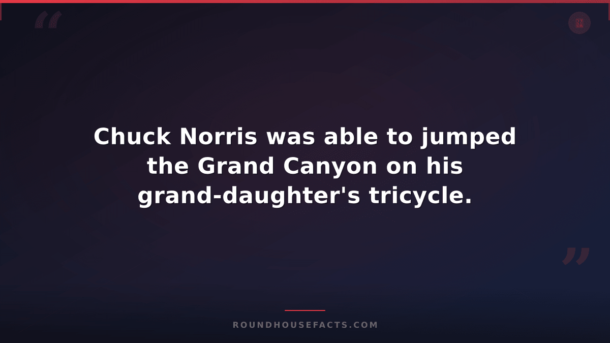 Chuck Norris Fact — Chuck Norris was able to jumped the Grand Canyon on his gran