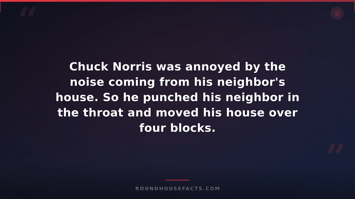 Chuck Norris Fact — Chuck Norris was annoyed by the noise coming from his neighb
