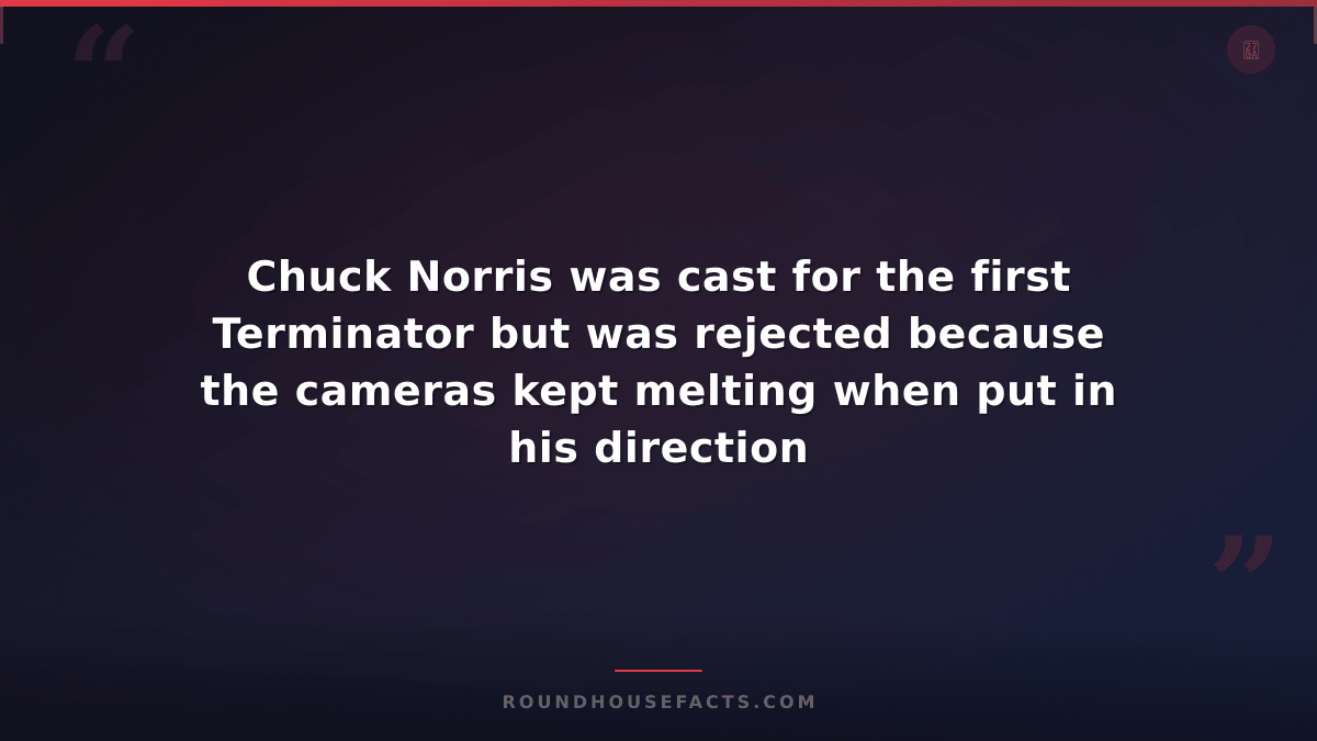 Chuck Norris Fact — Chuck Norris was cast for the first Terminator but was rejec