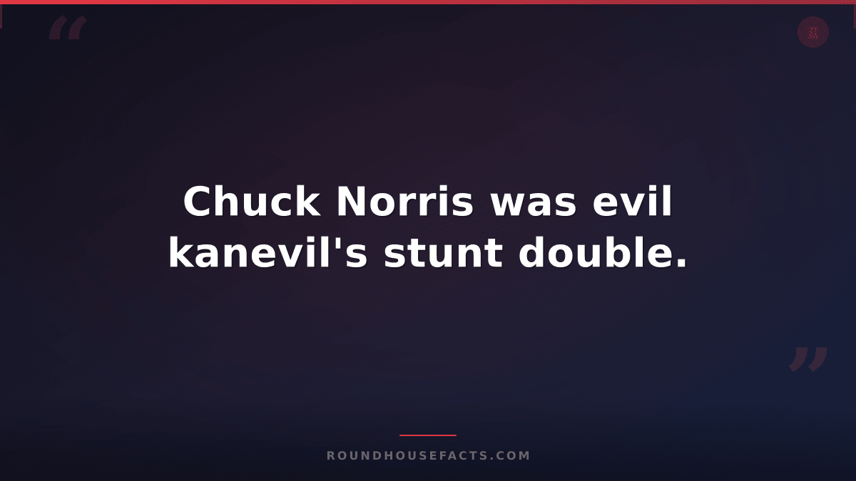 Chuck Norris Fact — Chuck Norris was evil kanevil's stunt double.