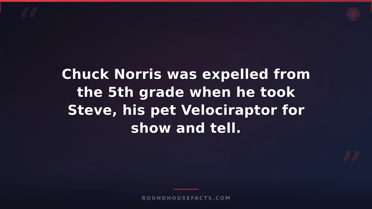 Chuck Norris Fact — Chuck Norris was expelled from the 5th grade when he took St