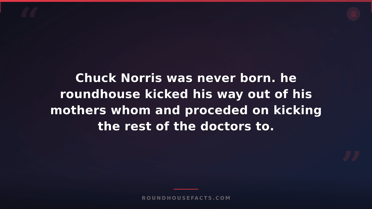 Chuck Norris Fact — Chuck Norris was never born. he roundhouse kicked his way ou