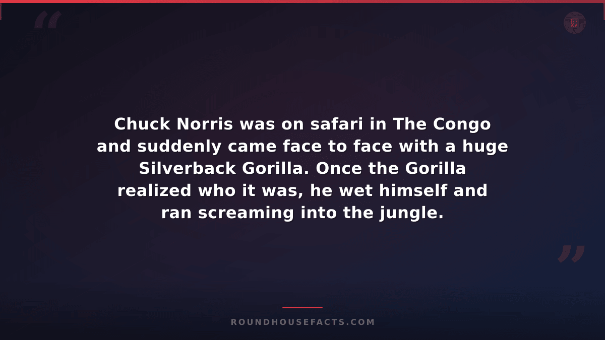 Chuck Norris Fact — Chuck Norris was on safari in The Congo and suddenly came fa