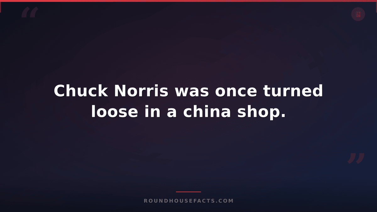 Chuck Norris Fact — Chuck Norris was once turned loose in a china shop.