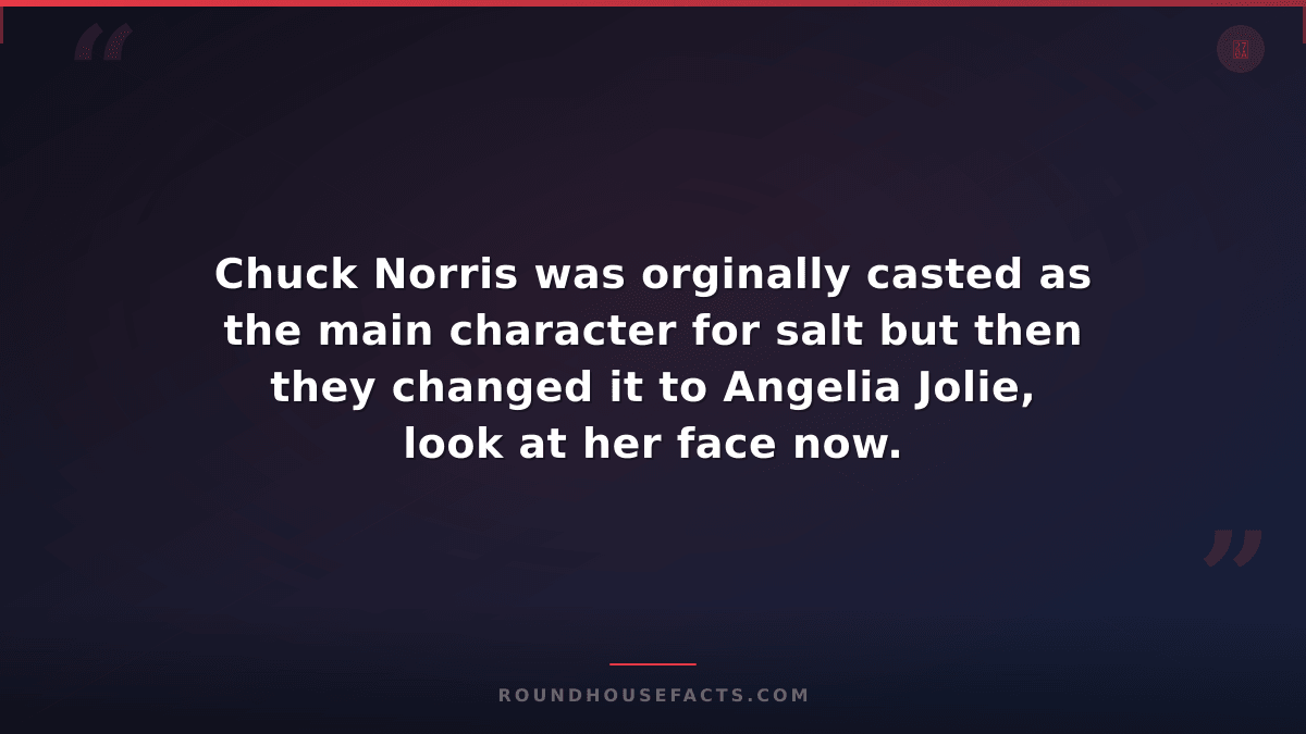 Chuck Norris Fact — Chuck Norris was orginally casted as the main character for