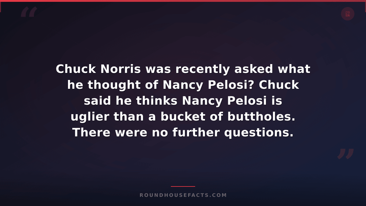 Chuck Norris Fact — Chuck Norris was recently asked what he thought of Nancy Pel