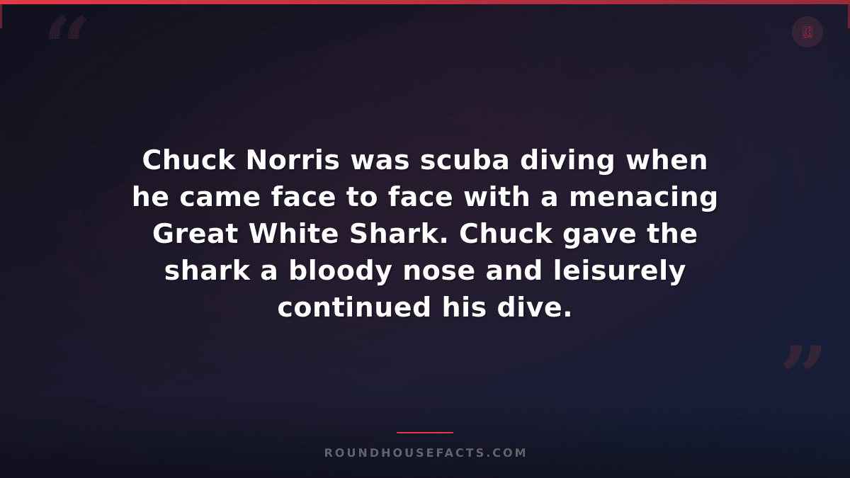 Chuck Norris Fact — Chuck Norris was scuba diving when he came face to face with