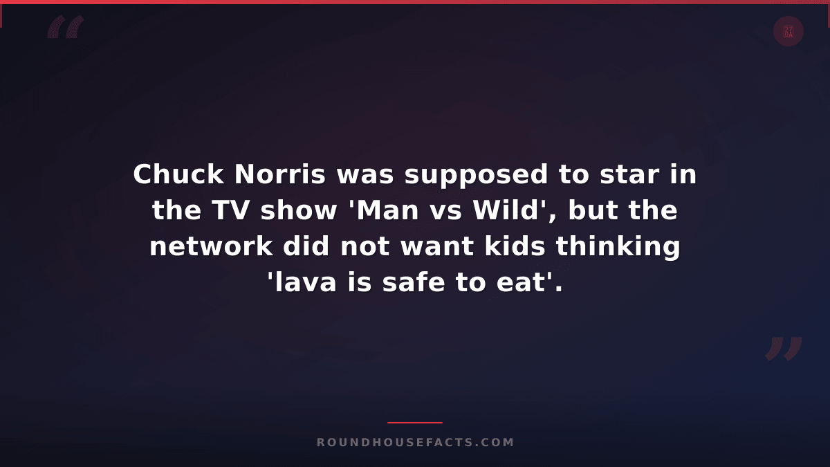 Chuck Norris Fact — Chuck Norris was supposed to star in the TV show 'Man vs Wil