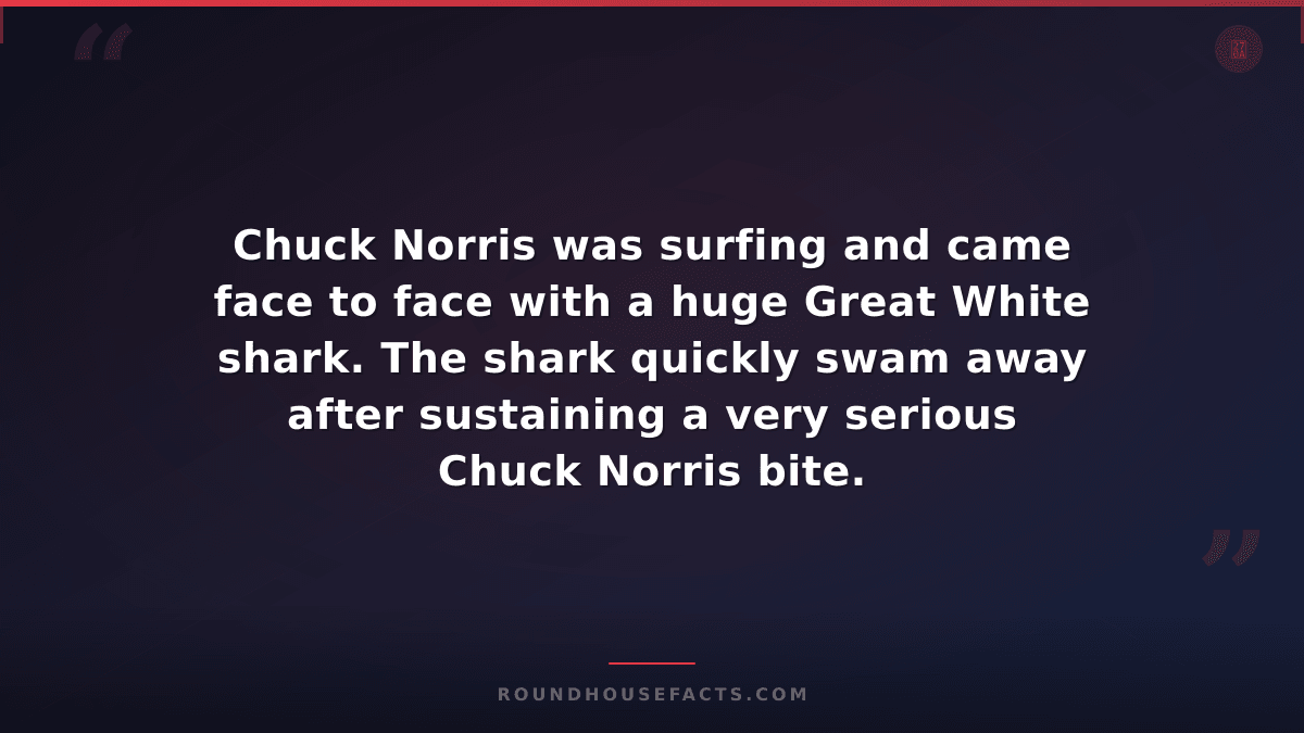 Chuck Norris Fact — Chuck Norris was surfing and came face to face with a huge G