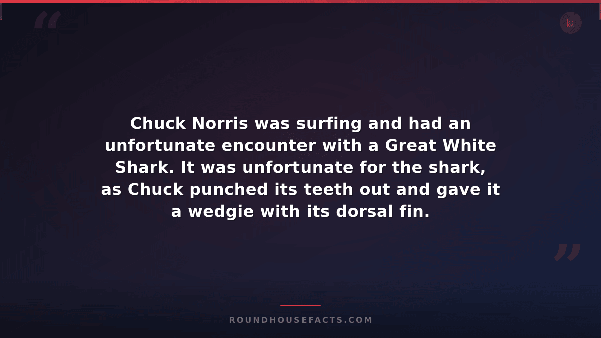 Chuck Norris Fact — Chuck Norris was surfing and had an unfortunate encounter wi
