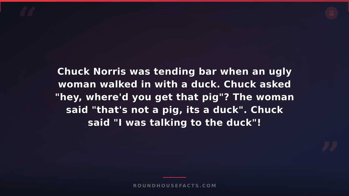 Chuck Norris Fact — Chuck Norris was tending bar when an ugly woman walked in wi