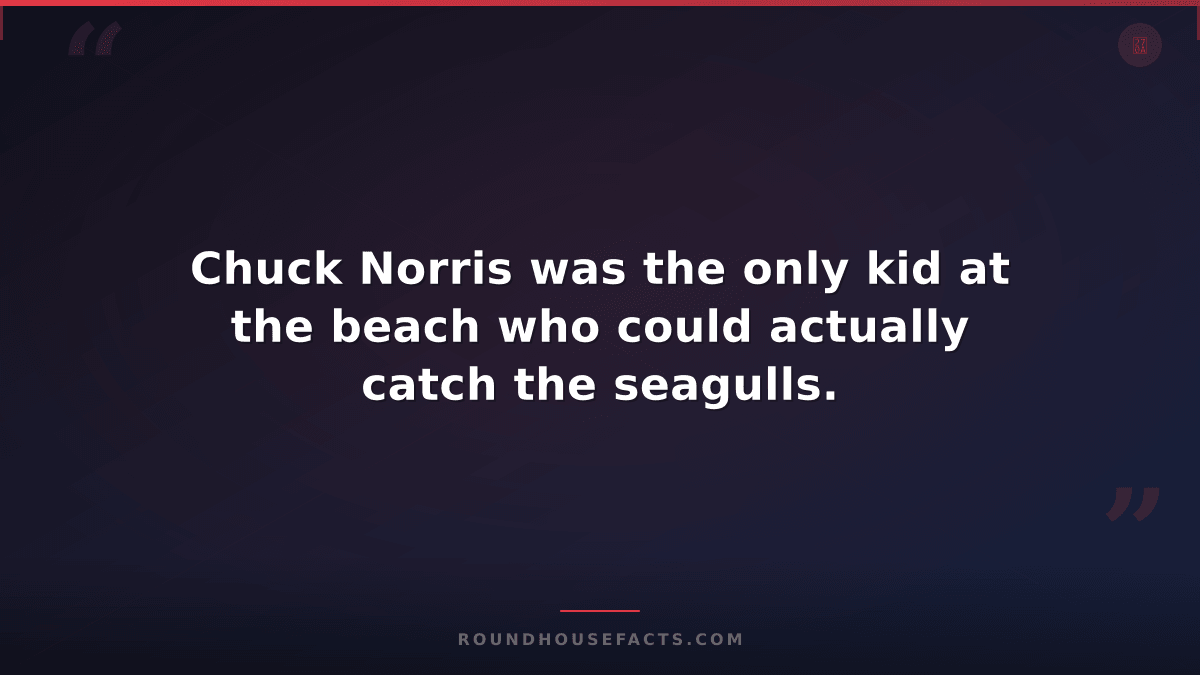 Chuck Norris Fact — Chuck Norris was the only kid at the beach who could actuall