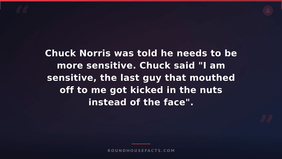 Chuck Norris Fact — Chuck Norris was told he needs to be more sensitive. Chuck s