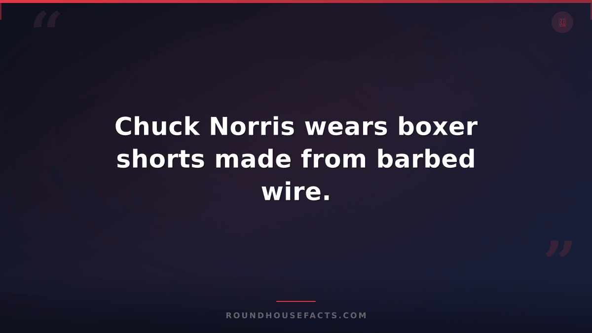 Chuck Norris Fact — Chuck Norris wears boxer shorts made from barbed wire.