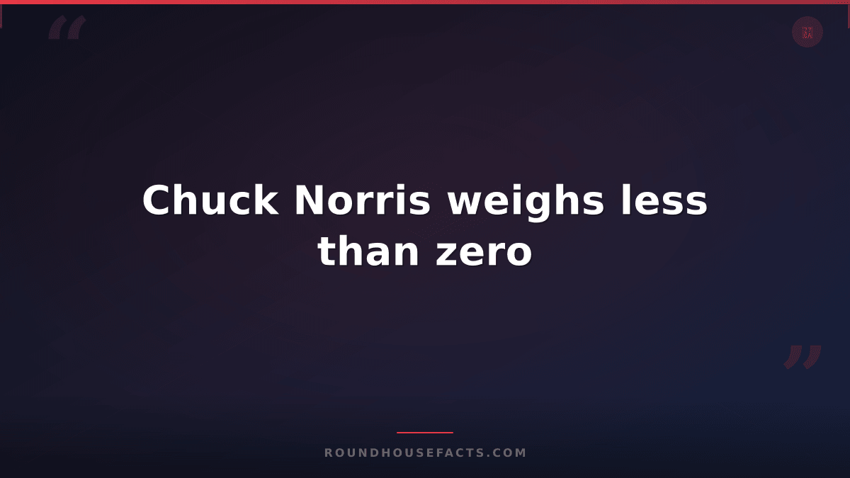 Chuck Norris Fact — Chuck Norris weighs less than zero