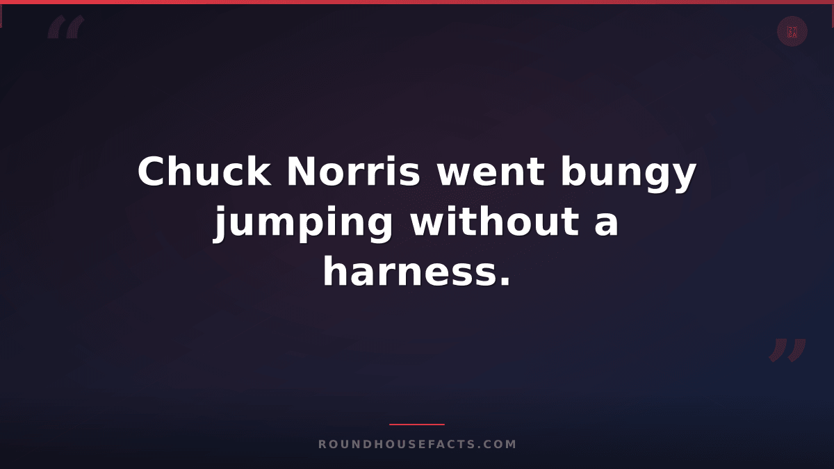 Chuck Norris Fact — Chuck Norris went bungy jumping without a harness.