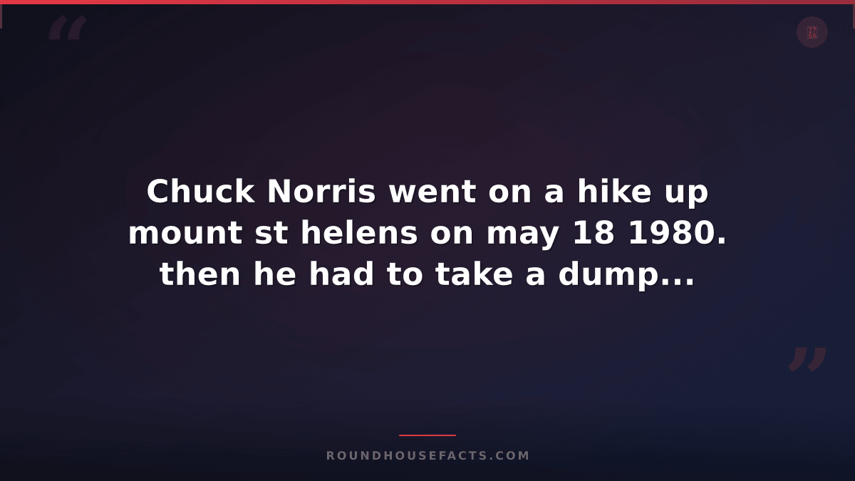 Chuck Norris Fact — Chuck Norris went on a hike up mount st helens on may 18 198