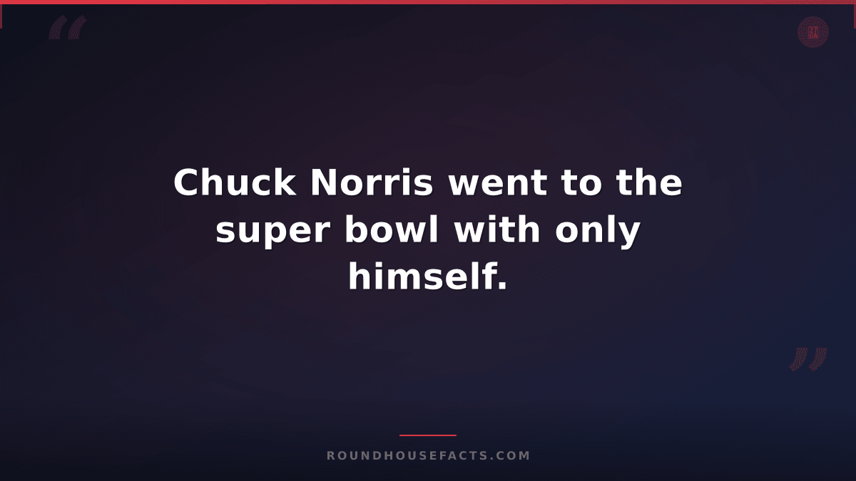 Chuck Norris Fact — Chuck Norris went to the super bowl with only himself.