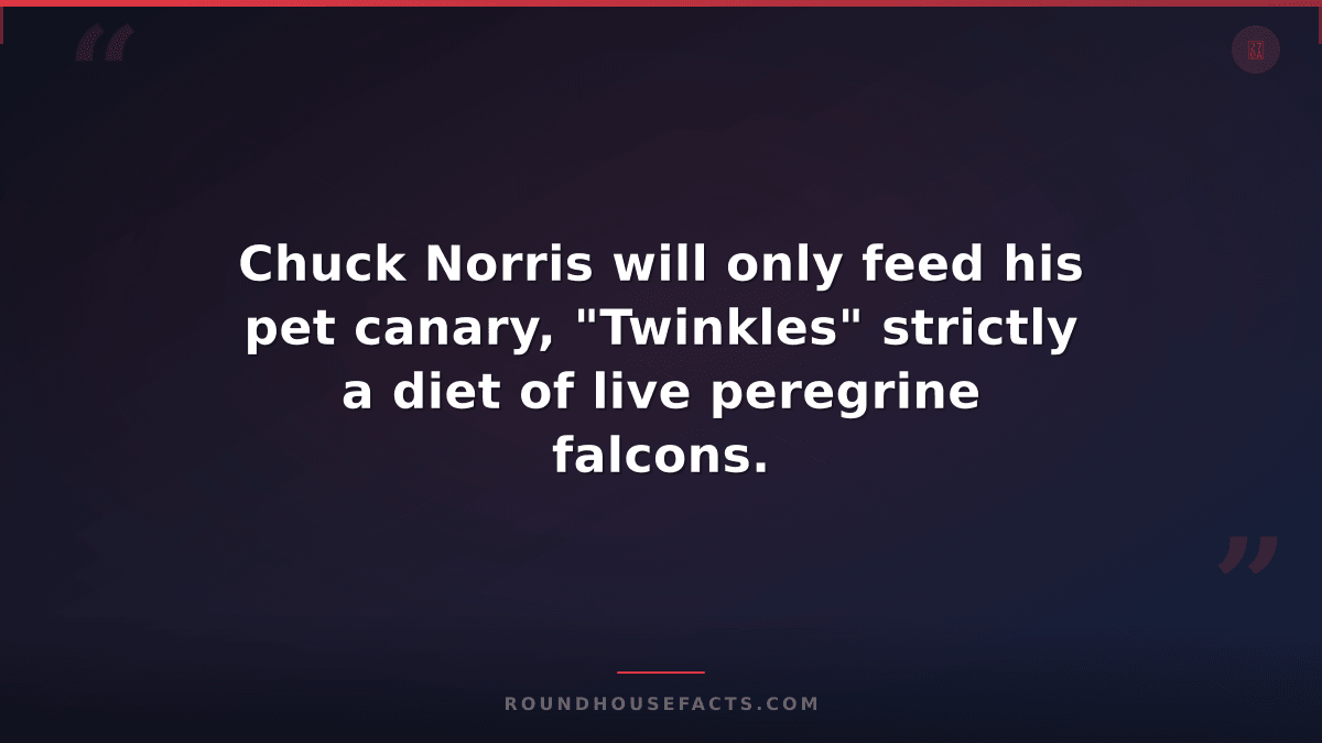 Chuck Norris Fact — Chuck Norris will only feed his pet canary, "Twinkles" stric