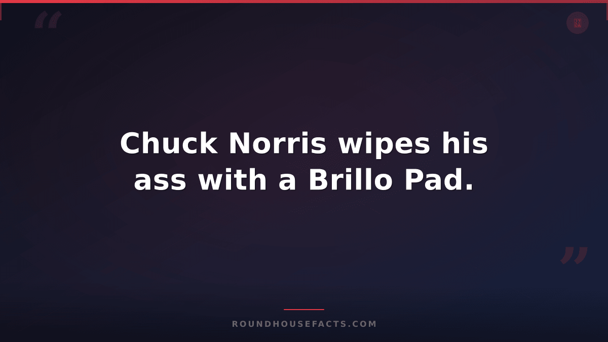 Chuck Norris Fact — Chuck Norris wipes his ass with a Brillo Pad.