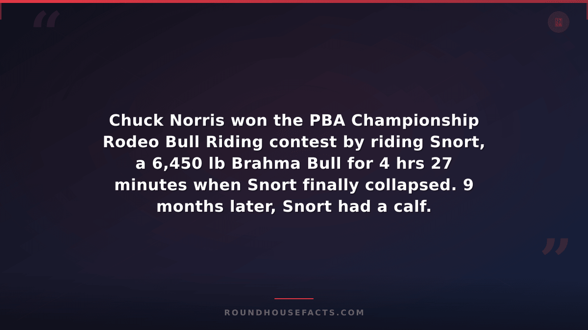 Chuck Norris Fact — Chuck Norris won the PBA Championship Rodeo Bull Riding cont