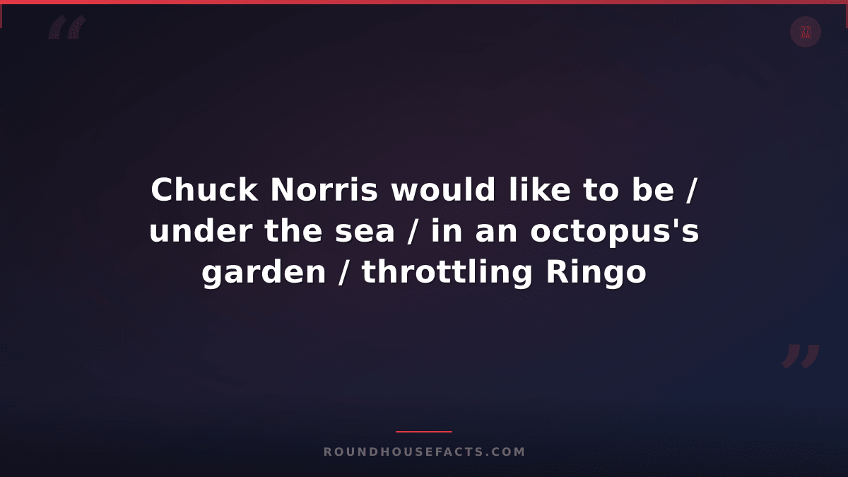 Chuck Norris Fact — Chuck Norris would like to be / under the sea / in an octopu