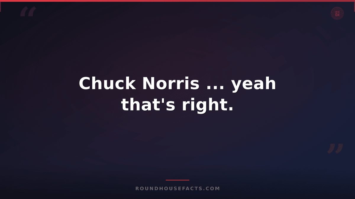 Chuck Norris Fact — Chuck Norris ... yeah that's right.