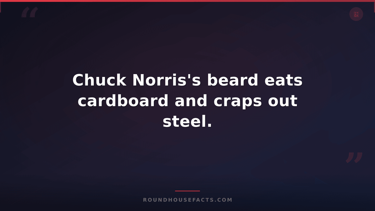 Chuck Norris Fact — Chuck Norris's beard eats cardboard and craps out steel.