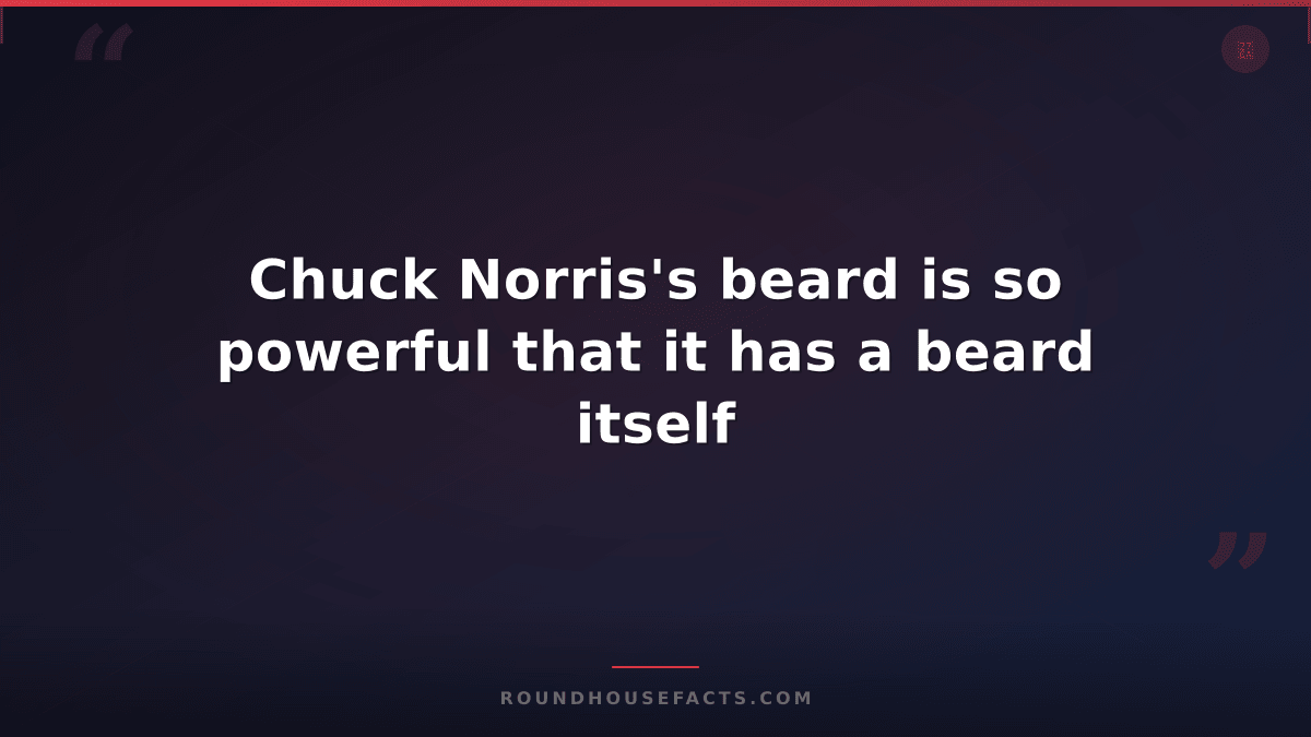 Chuck Norris Fact — Chuck Norris's beard is so powerful that it has a beard itse